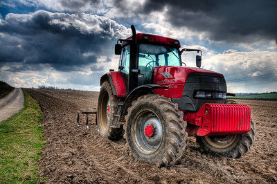 5 Ways to Bring a Little Farm Lifestyle to Your Urban Life